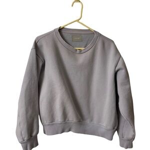Everlane Heather Gray Crewneck Top